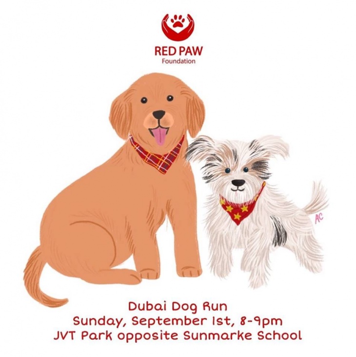 Red Paw Dubai Dog Run