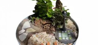 Miniature Garden Workshop @ Dubai Garden Centre