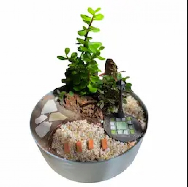 Miniature Garden Workshop @ Dubai Garden Centre