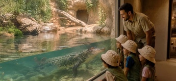 Al Ain Zoo Summer Camp