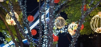 Festive Tree Lighting Ceremony @ Marriott Hotel Al Forsan