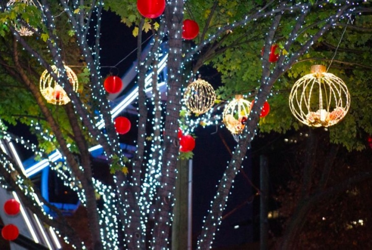 Festive Tree Lighting Ceremony @ Marriott Hotel Al Forsan Festive Tree Lighting Ceremony @ Marriott Hotel Al Forsan