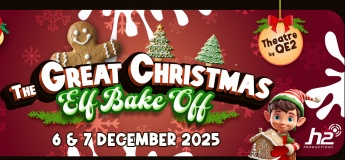 The Christmas Show @ Theatre by QE2
