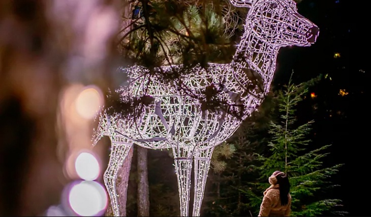 Christmas Tree Lighting @ Fairmont The Palm Christmas Tree Lighting @ Fairmont The Palm