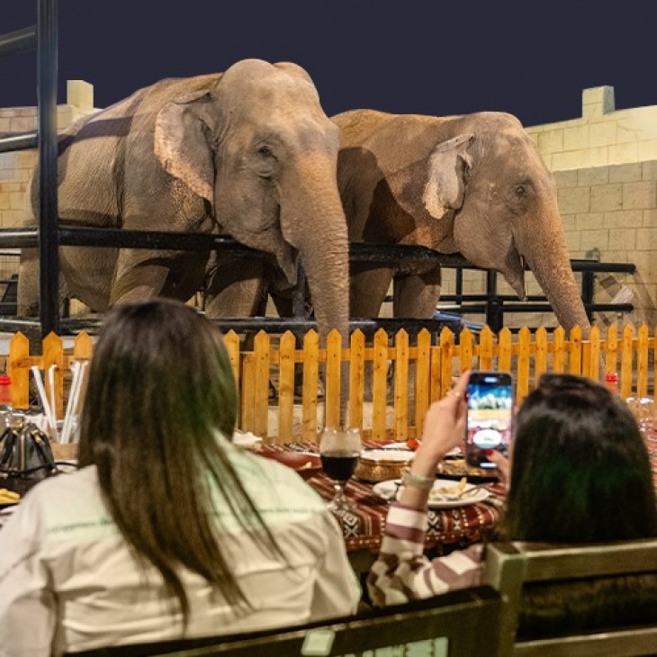 Dinner with Elephants Dinner with Elephants