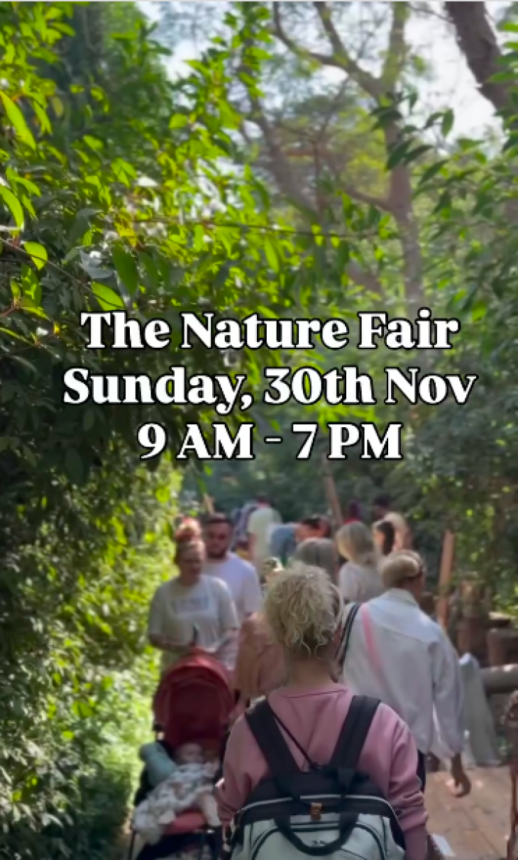 Nature Fair