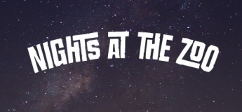Nights at the Zoo