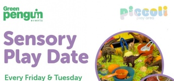 Sensory Play Date @ Piccoli