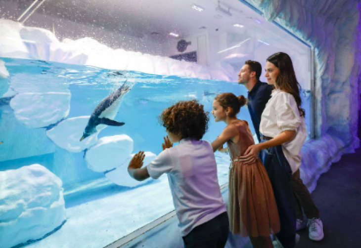 Haunted Seas Haunted Seas