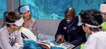 Sleepover: Winter Wonderland