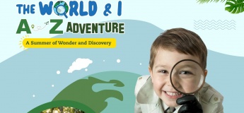 Best Summer Camp