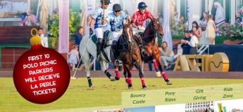 Polo Picnic