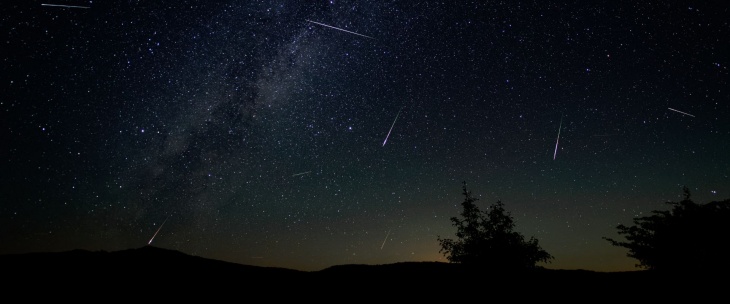 Leonids Meteor Shower