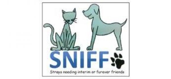 SNIFF Middle East | Tickikids Dubai